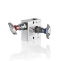 Schneider Manifolds en L, Y, W