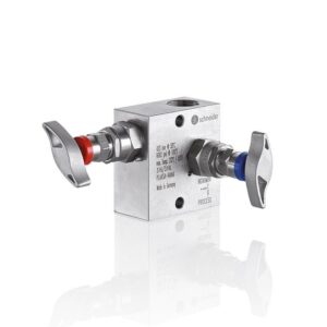 Schneider Manifolds en L, Y, W