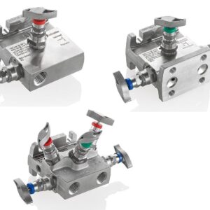 Schneider Manifolds à montage direct traditionnel