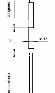 Fabritius Sonde R501